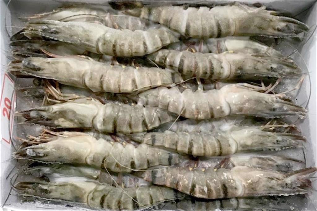 Xuất khẩu thuỷ sản sang Trung Quốc cần lưu ý gì để không bị trả lại