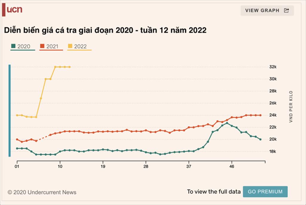 Thị trường cá tra hồi sinh, loạt doanh nghiệp đặt kế hoạch lợi nhuận tăng bằng lần