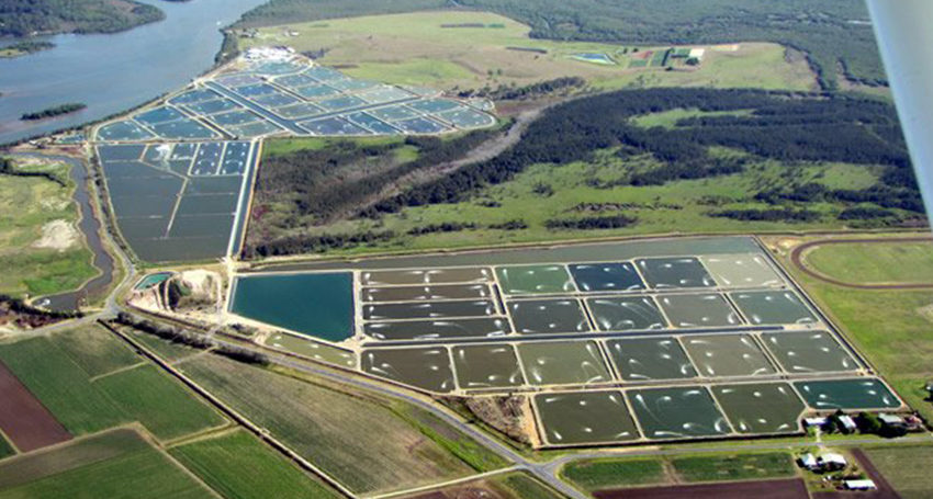 Giá tôm nguyên liệu tại một số nước cung cấp (tháng 1-tháng 42022) 