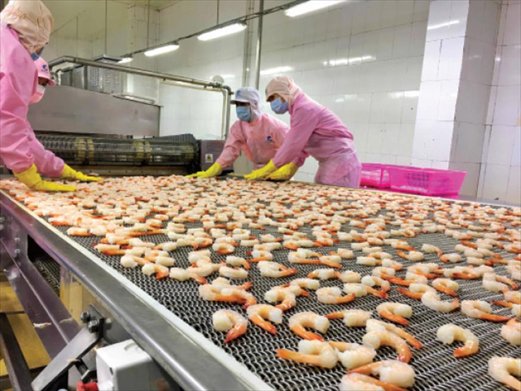 Infographic Xuất khẩu tôm Việt Nam quý 12022 