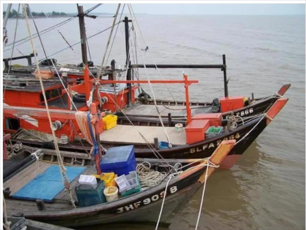Trung Quốc thay thế trợ cấp nhiên liệu bằng các khoản thanh toán cho nghề cá có trách nhiệm 