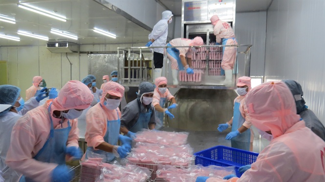 Thị trường cá ngừ Nhật Bản chưa thấy dấu hiệu phục hồi