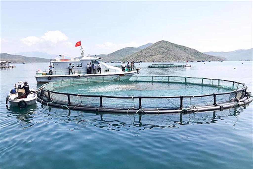 Phấn đấu sản lượng thủy sản nuôi biển đạt 1,4 triệu tấn vào năm 2030