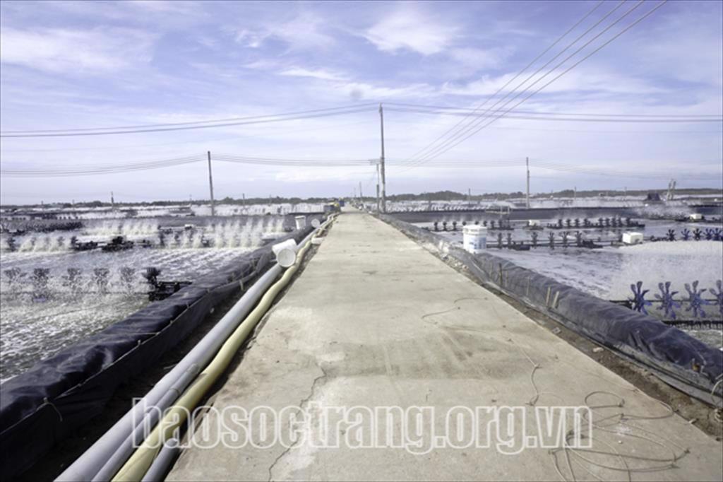 Thách thức và tăng trưởng bền vững