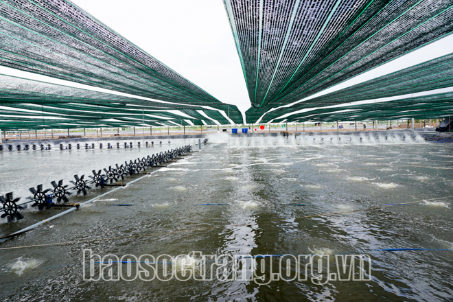 Nỗi lo mang tên EHP