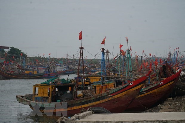 Trà Vinh Nhiều tàu cá nằm bờ vì giá nhiên liệu tăng cao