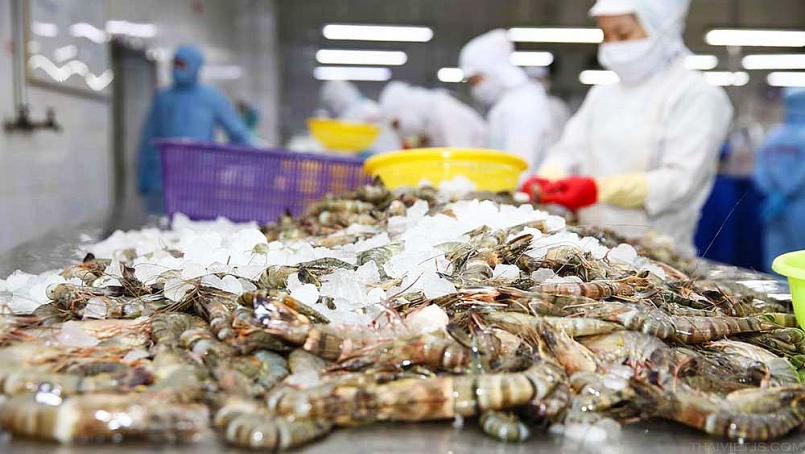 Xuất khẩu tôm sang Australia nhiều tín hiệu tăng trưởng 