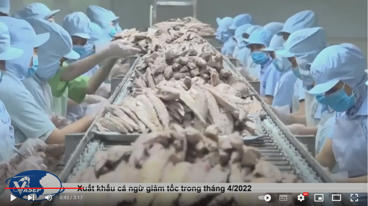 Infographic Xuất khẩu cá ngừ Việt Nam 4 tháng đầu năm 2022