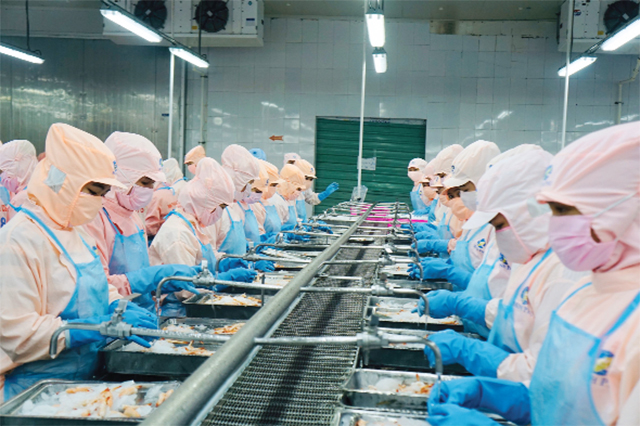 Vua tôm Minh Phú dự kiến chia cổ tức năm 2022 từ 50 đến 70%, lợi nhuận tăng trưởng 93%