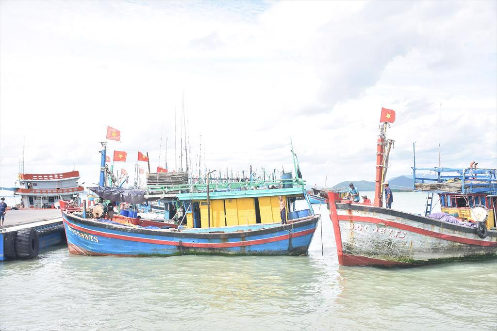 Bình Định Nhiều khó khăn tồn đọng trong quản lý, giám sát tàu cá hoạt động