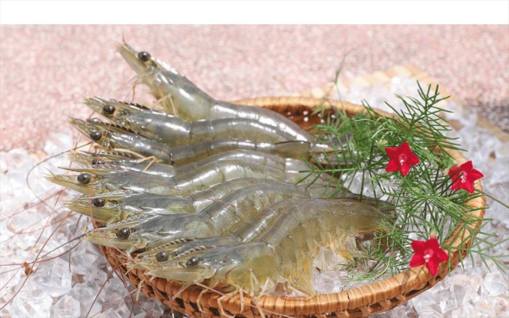 Ngành tôm chân trắng châu Á đối mặt với sự cạnh tranh gay gắt