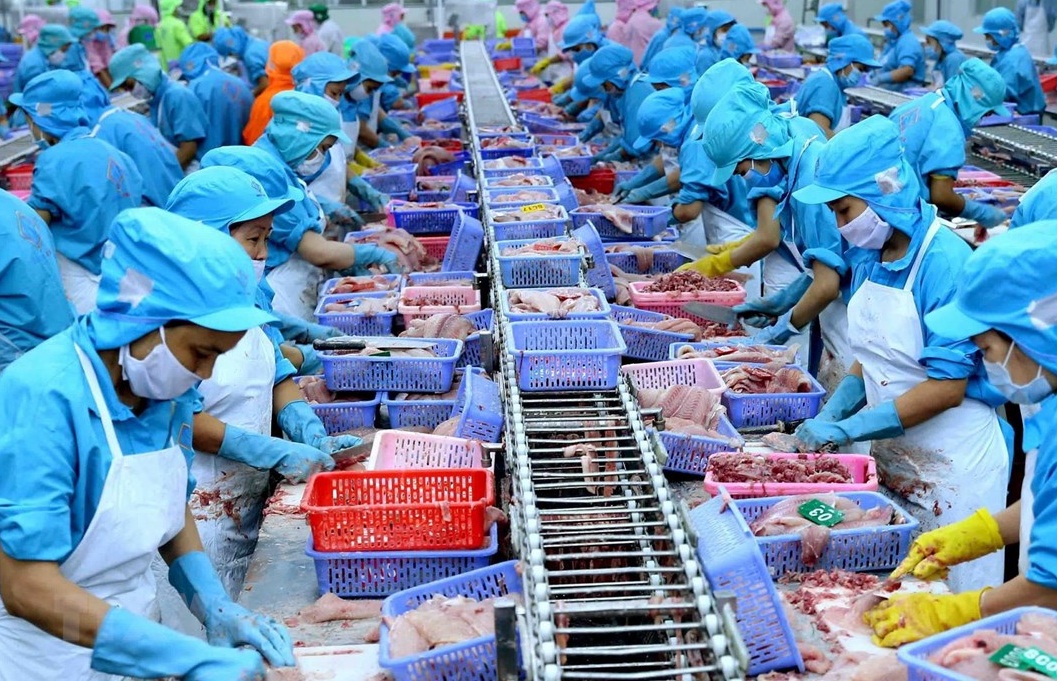 Infographic Xuất khẩu thủy sản Việt Nam 5 tháng đầu năm 2022 