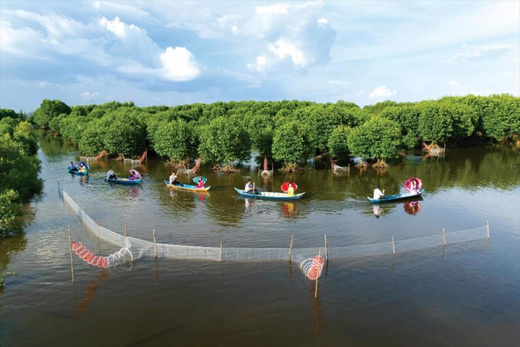 ĐBSCL Người nuôi tôm phấn khởi vì giá duy trì mức cao