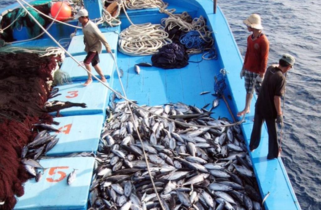 Giá thủy sản của Anh tăng cao do mức thuế áp với cá trắng Nga 