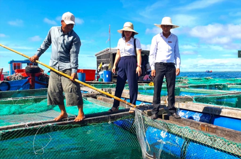 Nhờ nguồn vốn Agribank ngư dân Lý Sơn nuôi cá biển lãi hàng tỷ đồng