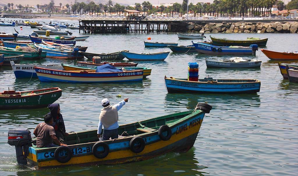 Xuất khẩu thủy sản của Peru giảm một nửa trong tháng 52022