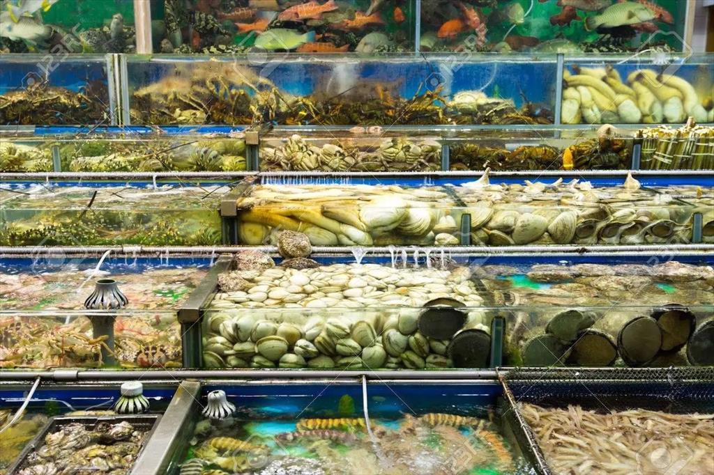 Thị trường thủy sản Trung Quốc xu hướng và tiềm năng