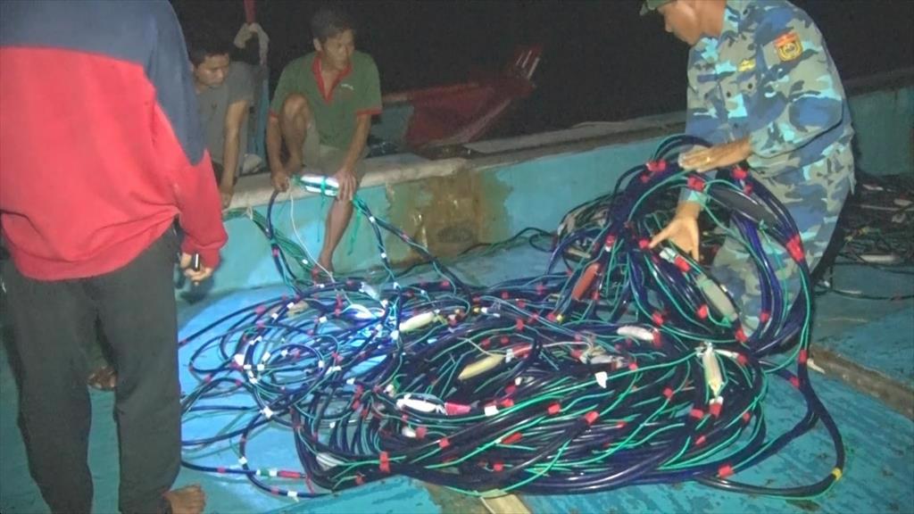 Yêu cầu ngăn chặn tình trạng đánh bắt tận diệt thủy sản