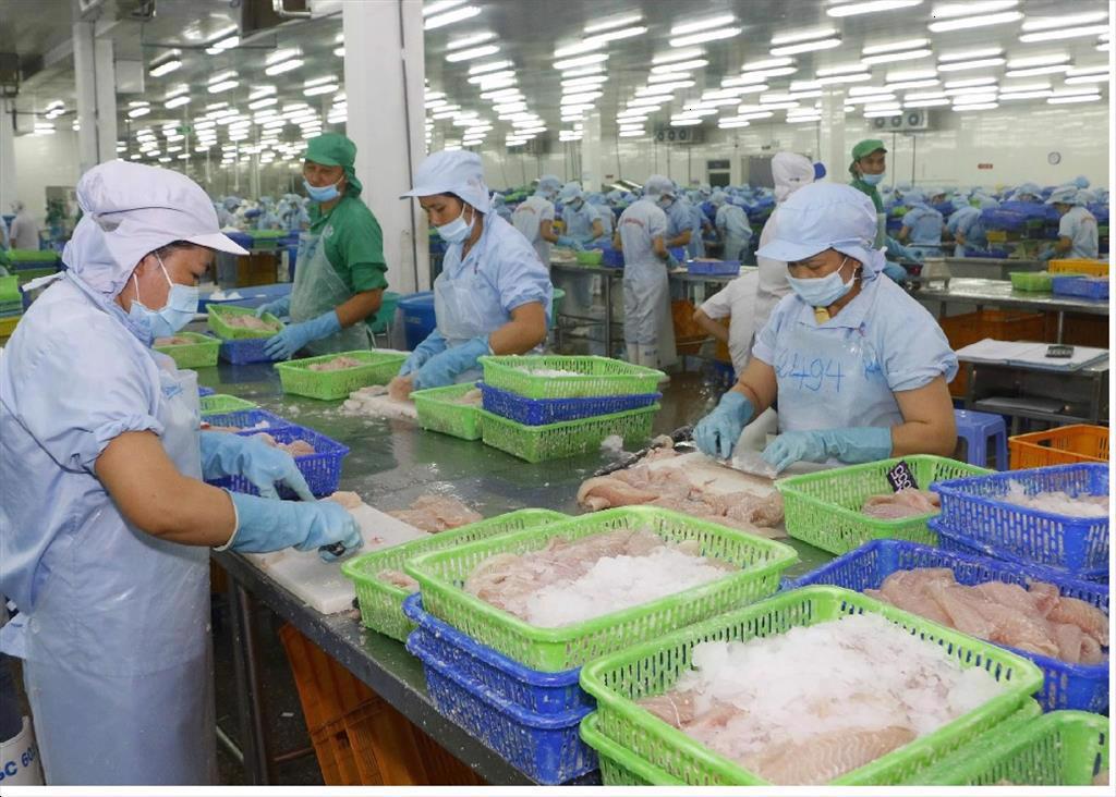 Xuất khẩu cá tra tháng 72022 thấp nhất từ đầu năm