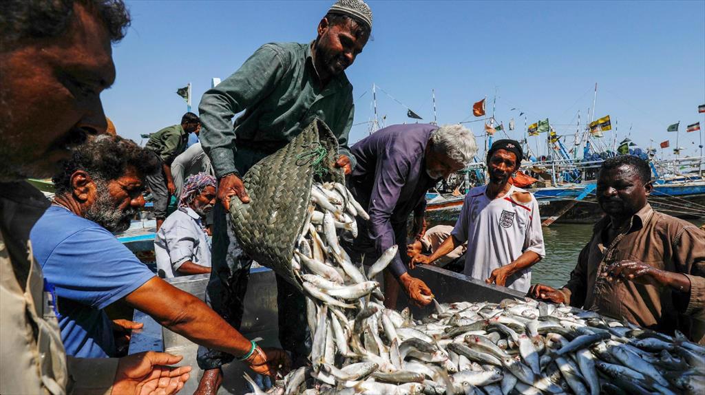 Pakistan Xuất khẩu thủy sản tăng 30% trong tháng 72022