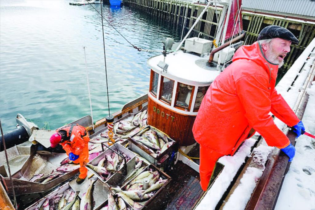 Anh Nhập khẩu cá tuyết đông lạnh từ Na Uy tăng mạnh 