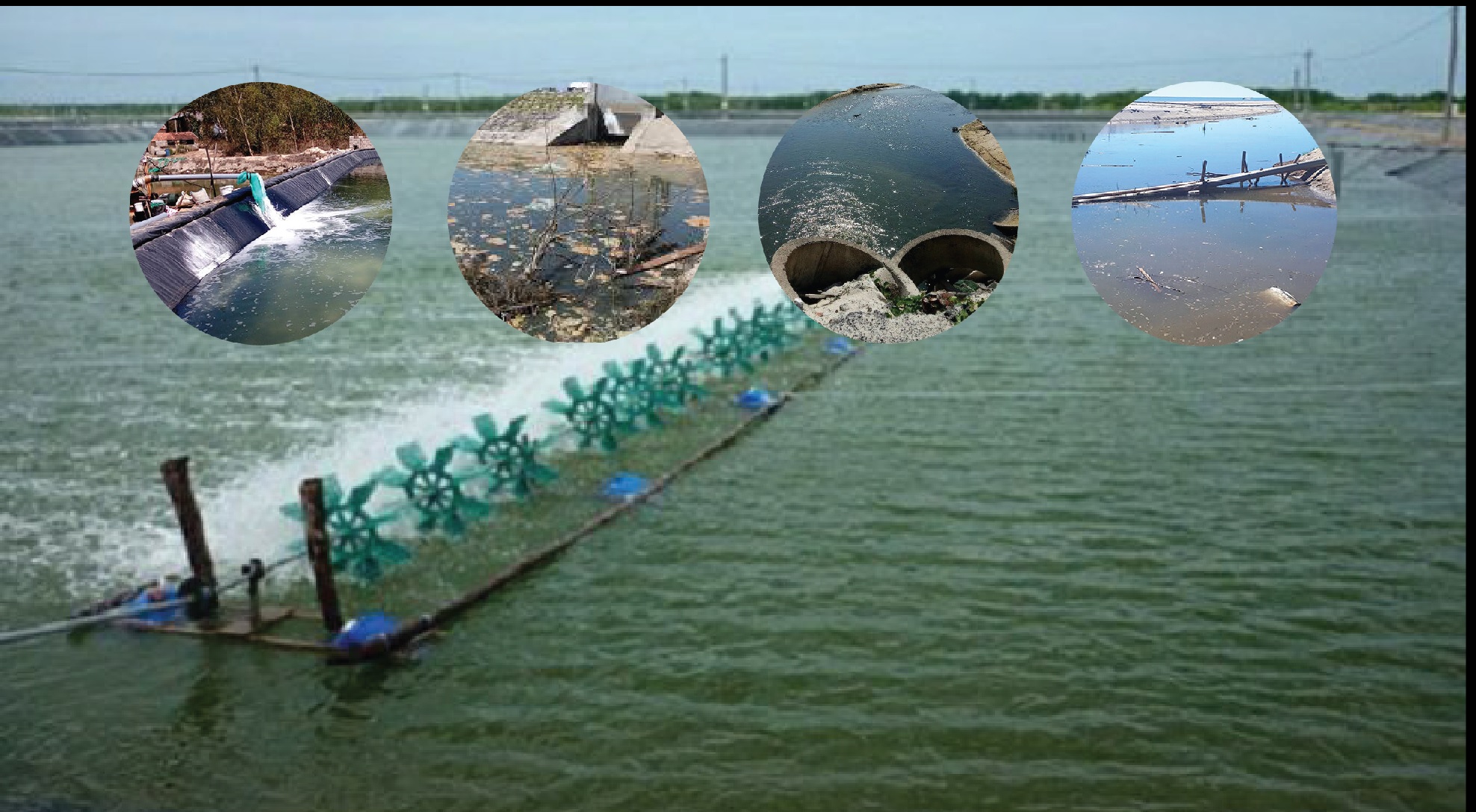 Doanh nghiệp thủy sản tăng năng suất, lợi nhuận nhờ công nghệ số