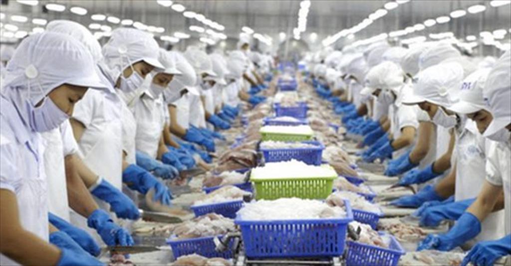 Vĩnh Hoàn (VHC) báo doanh thu tháng 8 tăng 73% so với cùng kỳ