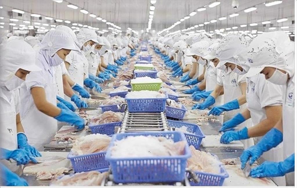 Việt Nam xuất khẩu trên 90 nghìn tấn cá tra phile sang Mỹ