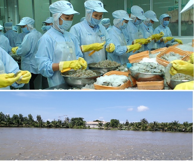 Nhiều điểm bất hợp lý và mâu thuẫn trong Dự thảo Thông tư ban hành quy chế quản lý, sử dụng đóng góp tài chính của nhà sản xuất, nhập khẩu vào Quỹ Bảo vệ môi trường