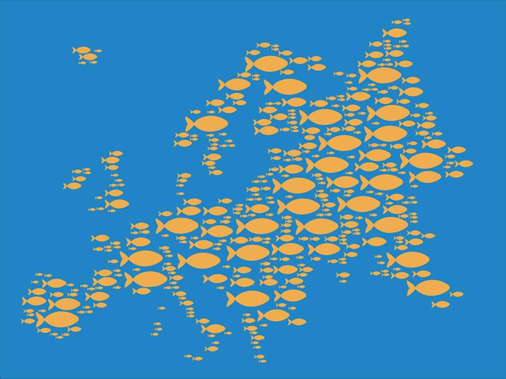 EU đang ở đâu trong bức tranh xuất khẩu thuỷ sản Việt Nam