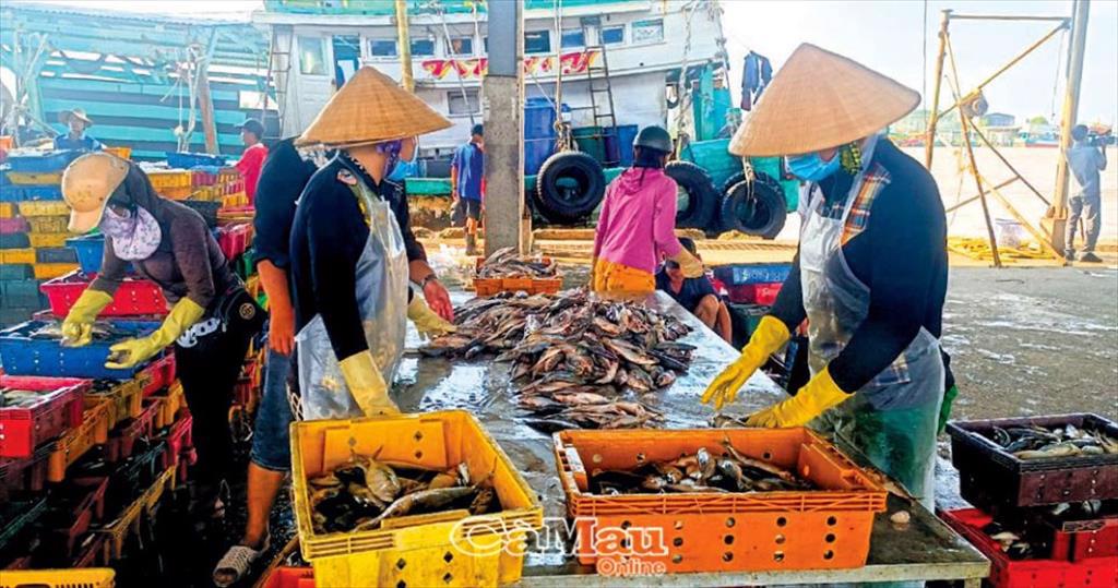 Cà Mau nỗ lực khắc phục “thẻ vàng”