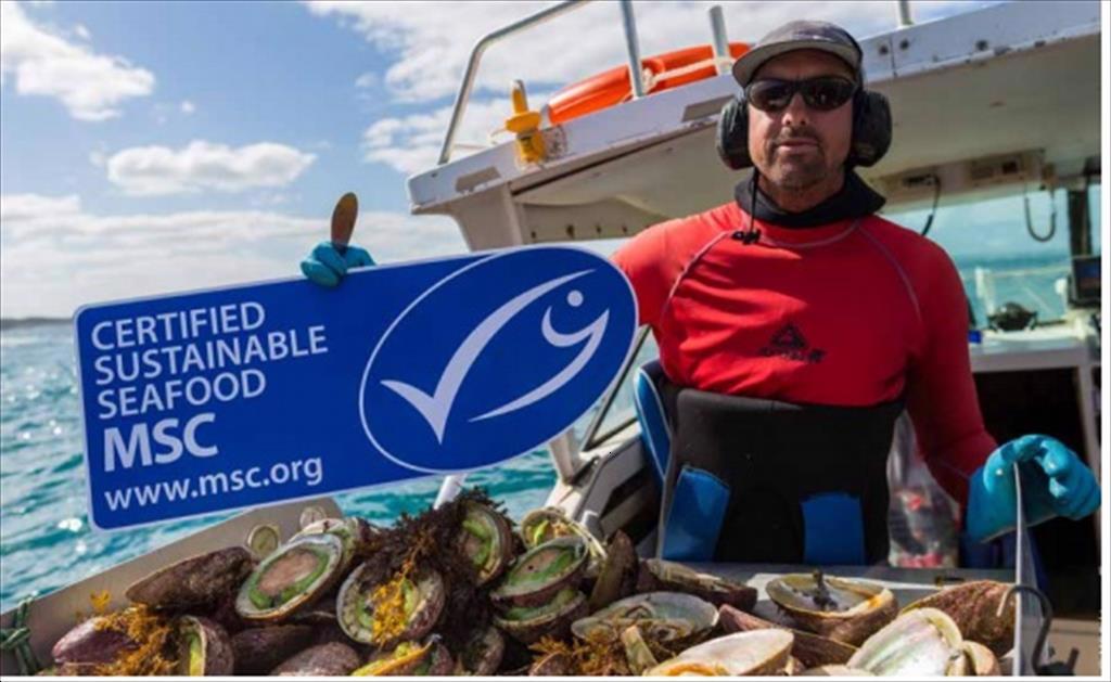 Hội đồng Quản lý Hàng hải MSC đưa ra tiêu chuẩn toàn cầu mới về chứng nhận bền vững nghề cá 