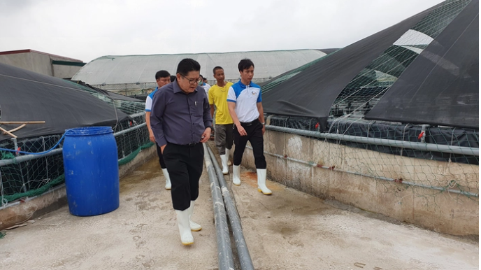 C.P. Việt Nam Nuôi tôm sạch tại Bà Rịa – Vũng Tàu