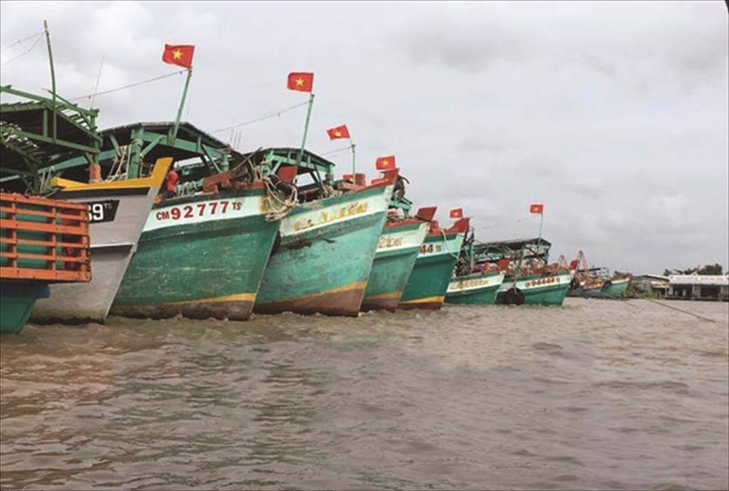 Tiền Giang phát triển nghề cá bền vững và chuyên nghiệp