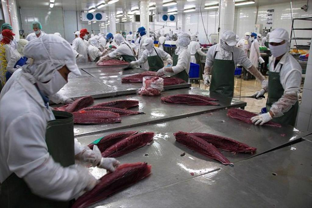 Infographic Xuất khẩu cá ngừ Việt Nam 10 tháng đầu năm 2022