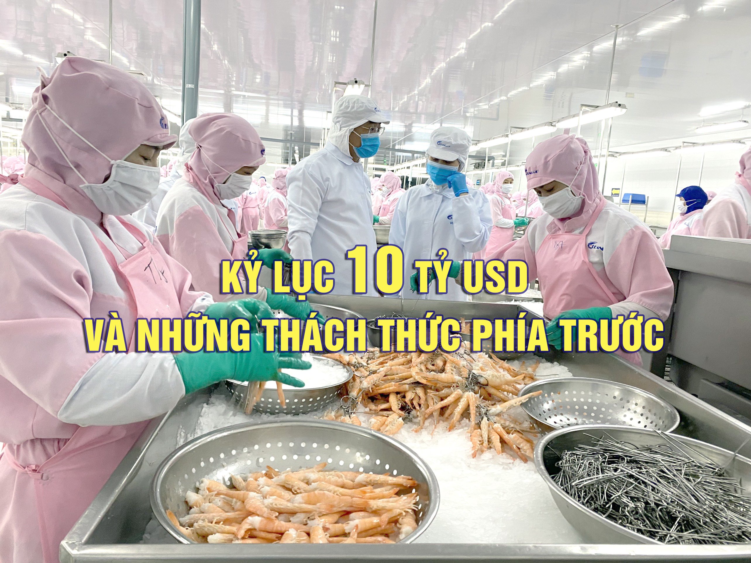 Kỷ lục 10 tỷ USD và những thách thức phía trước