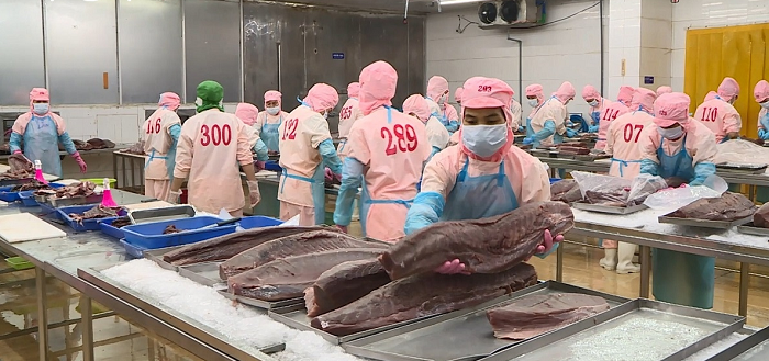 Doanh nghiệp thủy sản tìm kiếm thị trường, giải quyết việc làm cho người lao động