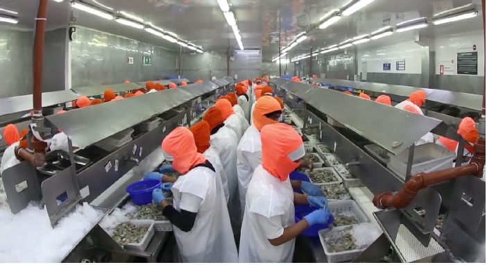 Xuất khẩu tôm 10 tháng đầu năm 2022 của Ecuador vượt cả năm 2021