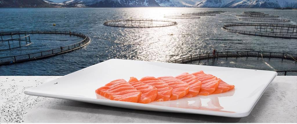 Xuất khẩu thủy sản tháng 11 của Na Uy tăng 19% 