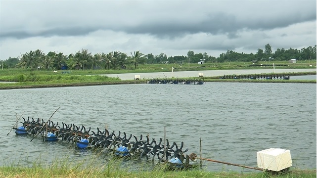 Giá tôm nguyên liệu tại một số nước cung cấp (tuần 45 - 482022) 