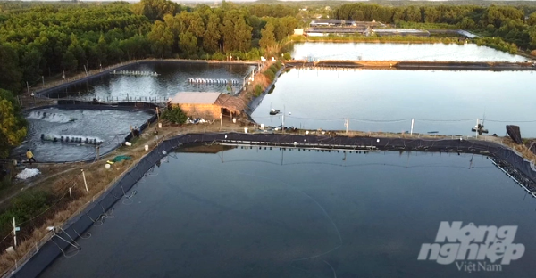 Tăng cường ứng dụng công nghệ cao trong nuôi trồng thủy sản