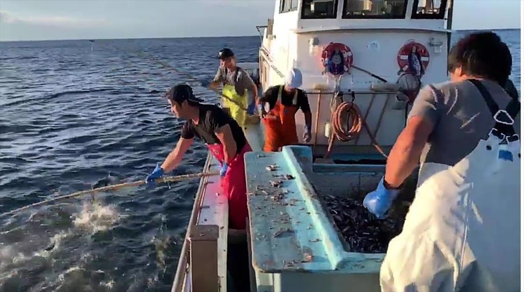 Đồng Yên mất giá, Nhật Bản kích hoạt hệ thống mạng lưới an toàn nghề cá