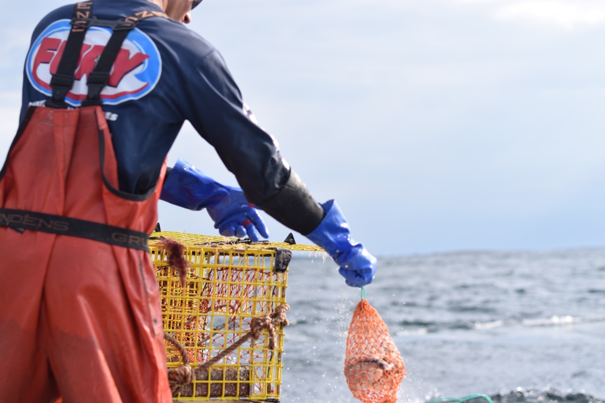 Mỹ chuẩn bị cho chương trình tiếp thị thủy sản quốc gia