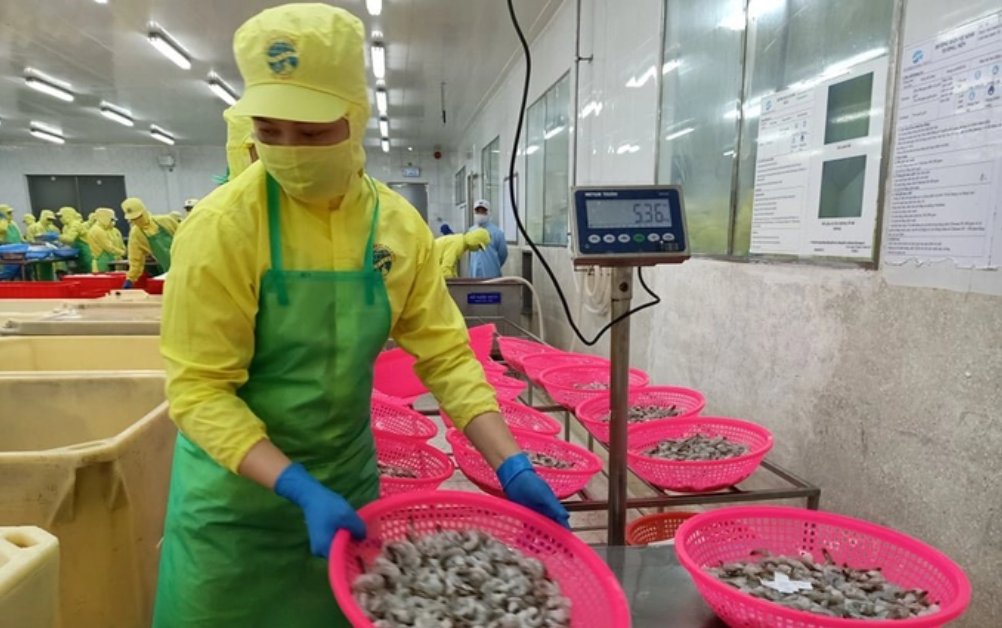 Cà Mau Năm thứ 3 xuất khẩu thủy sản vượt mốc 1 tỷ USD