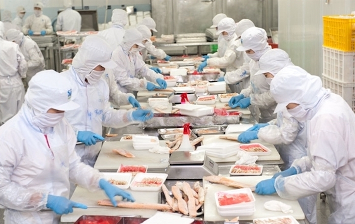 Thủy sản Nam Việt (ANV) sắp mở két cho công ty con vay 36 tỷ đồng