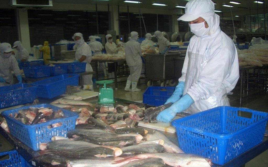 Doanh nghiệp xuất khẩu thuỷ sản cần chú trọng thị trường nhỏ trong thị trường tỷ dân