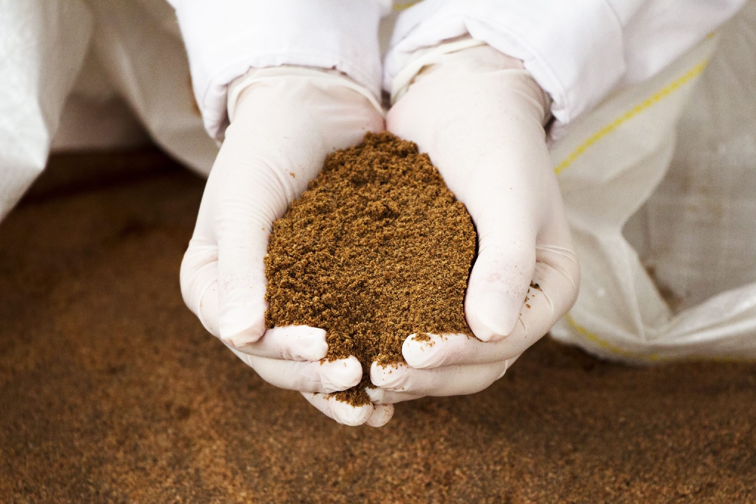 Hợp nhất tạo ra những “ông lớn” trong ngành thức ăn tôm toàn cầu