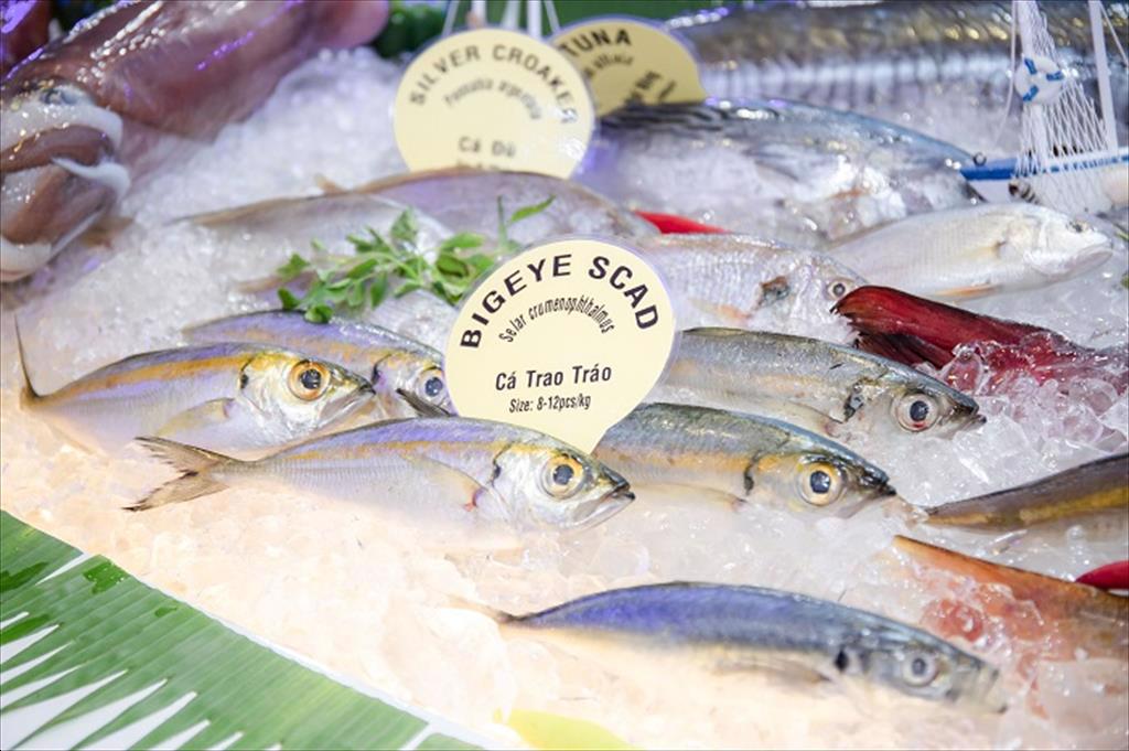 Infographic Xuất khẩu hải sản của Việt Nam tháng 012023