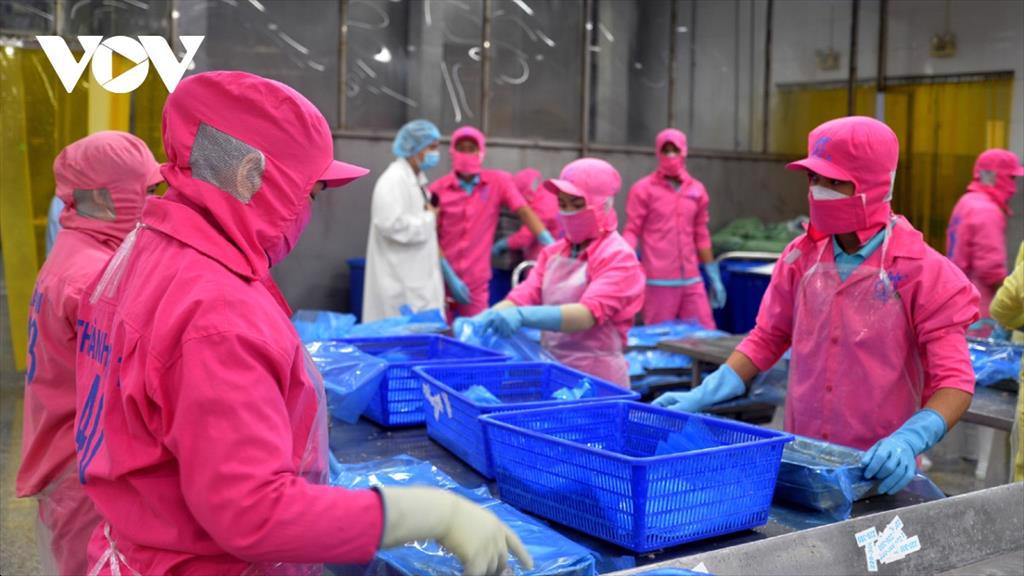 Thuỷ sản vùng ĐBSCL vượt khó để chờ cơ hội bứt phá