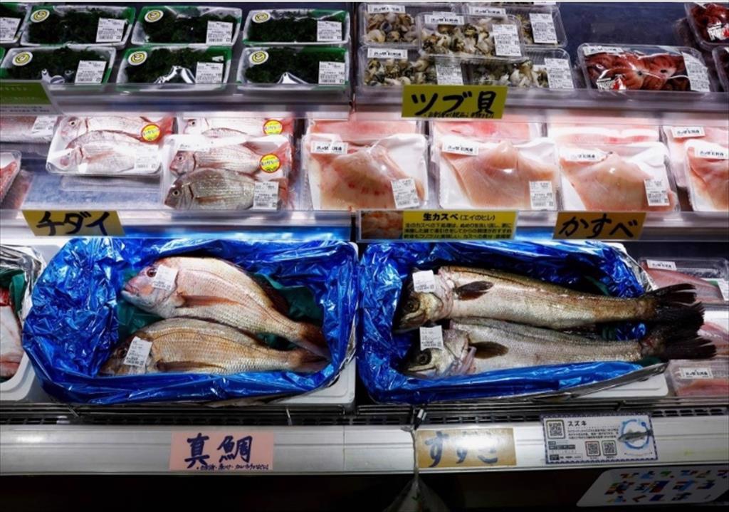 Nga xem xét cấm nhập khẩu thủy sản Nhật Bản